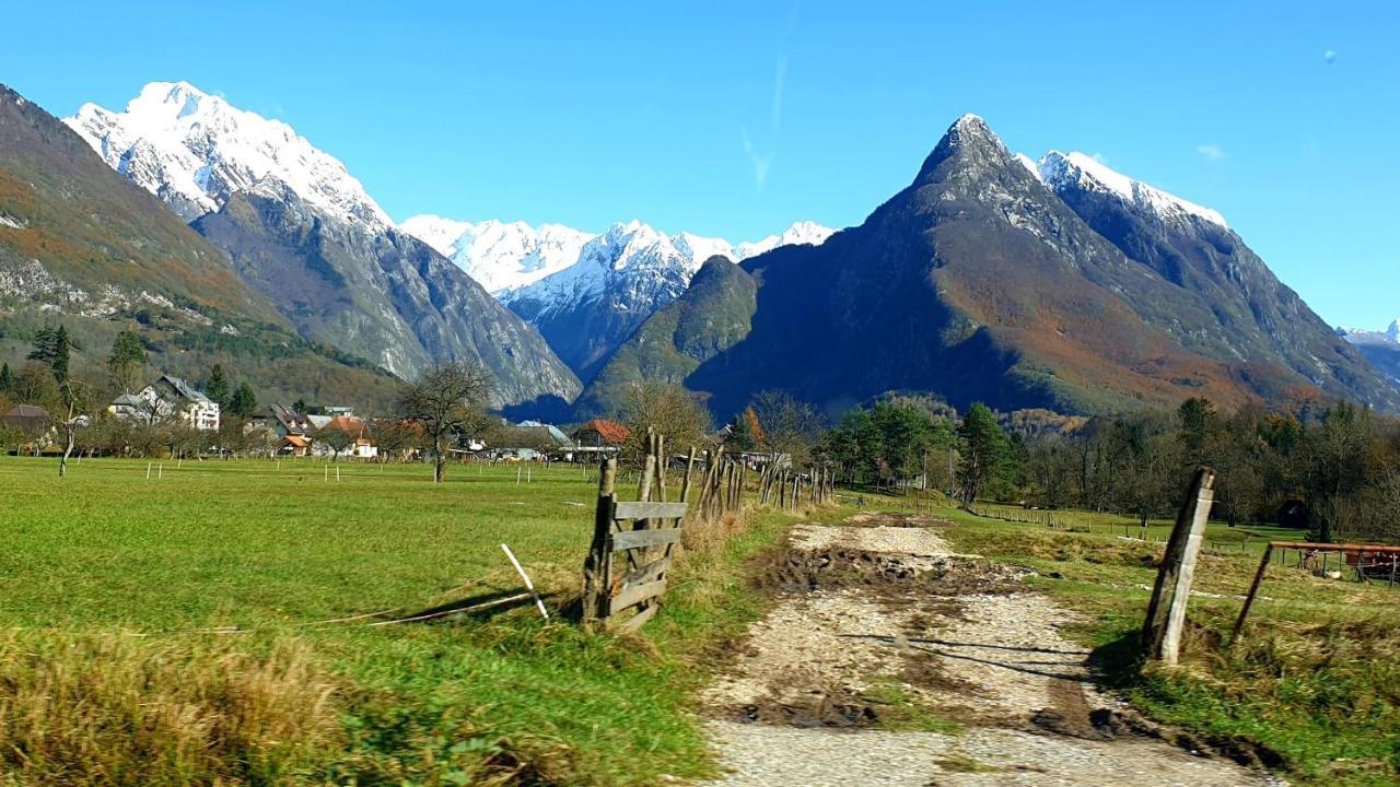 Hisa Lojz Appartement Zaga Buitenkant foto