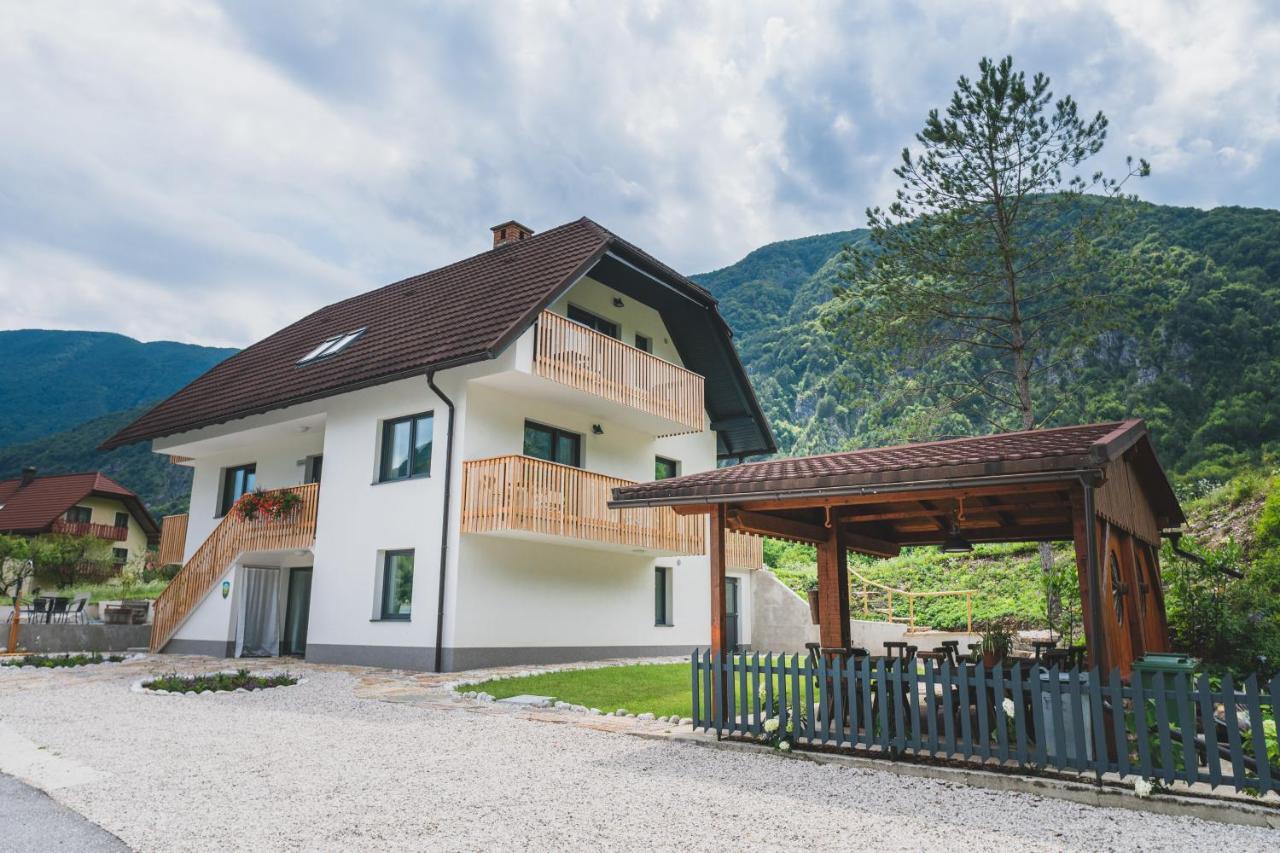Hisa Lojz Appartement Zaga Buitenkant foto